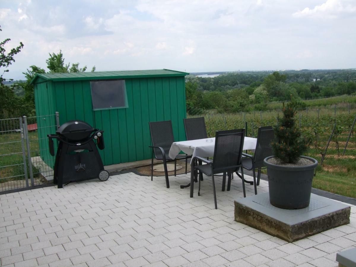 Ferienwohnung Rheinblick Bad Bellingen Ngoại thất bức ảnh