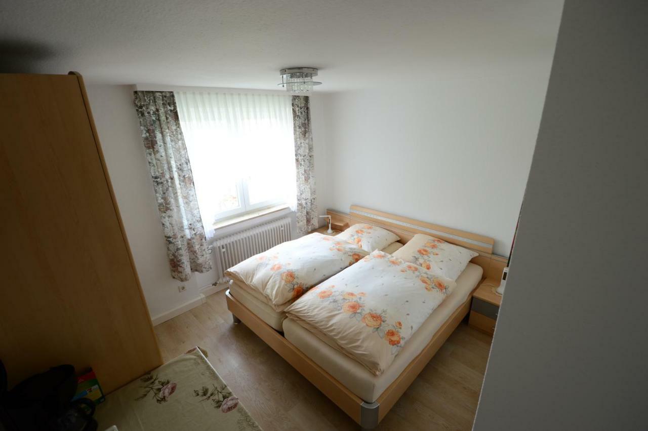 Ferienwohnung Rheinblick Bad Bellingen Ngoại thất bức ảnh