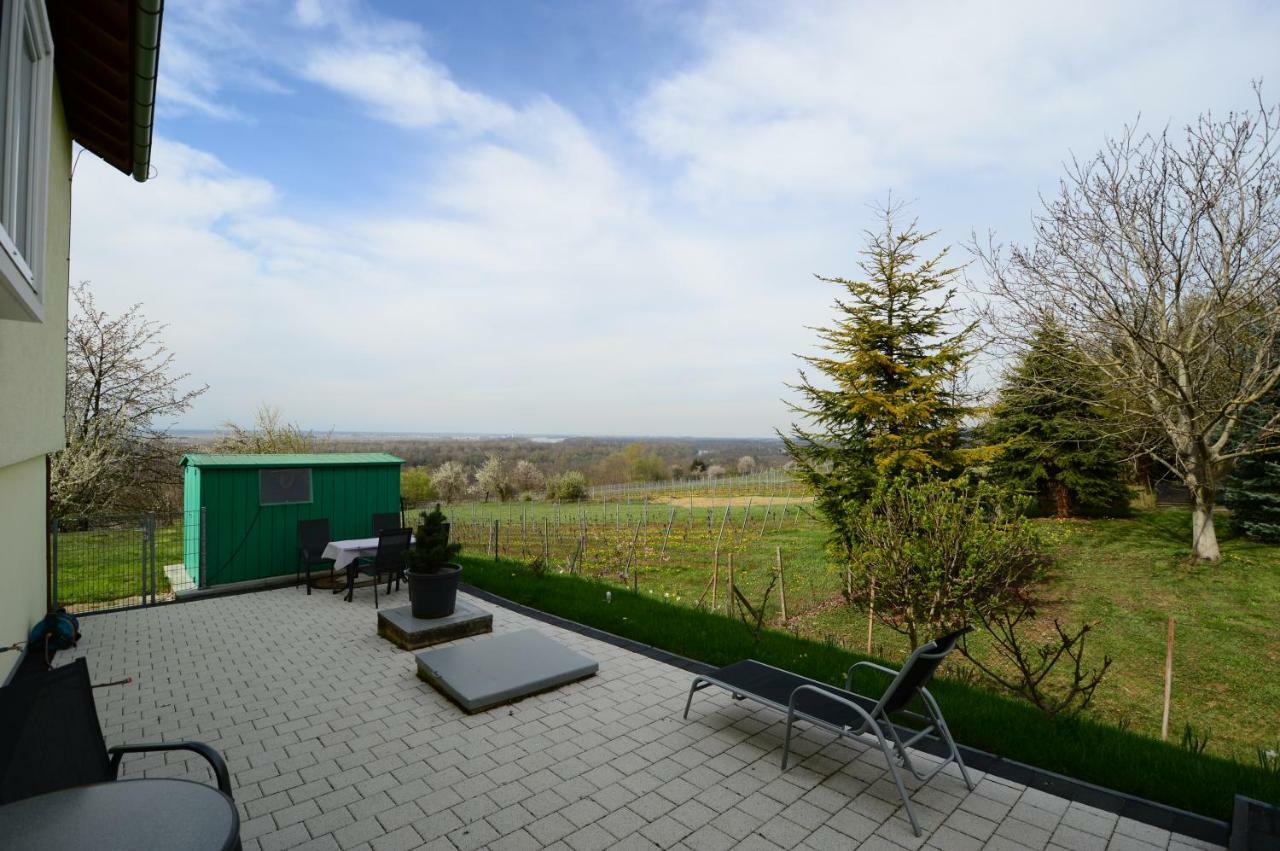 Ferienwohnung Rheinblick Bad Bellingen Ngoại thất bức ảnh